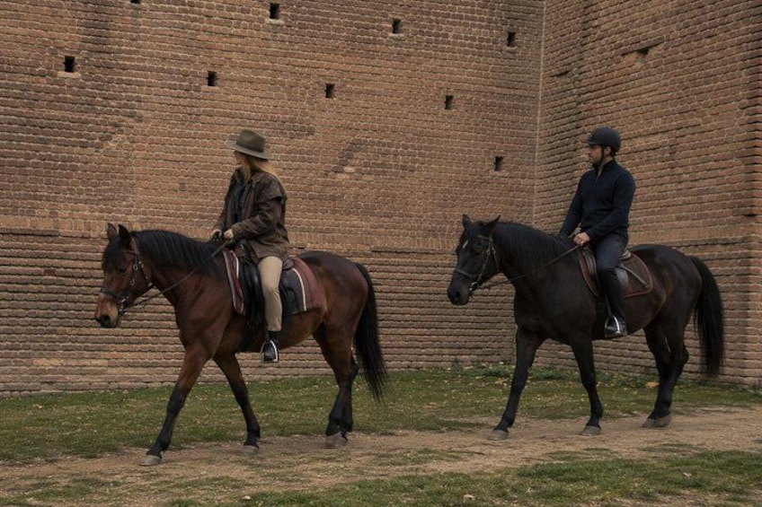 Guided Horseback Experience in Nature near Turin 4