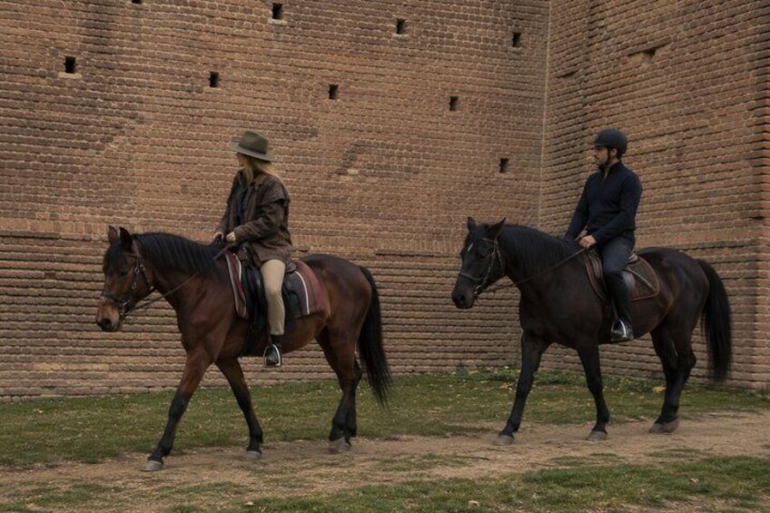 Guided Horseback Experience in Nature near Turin 4