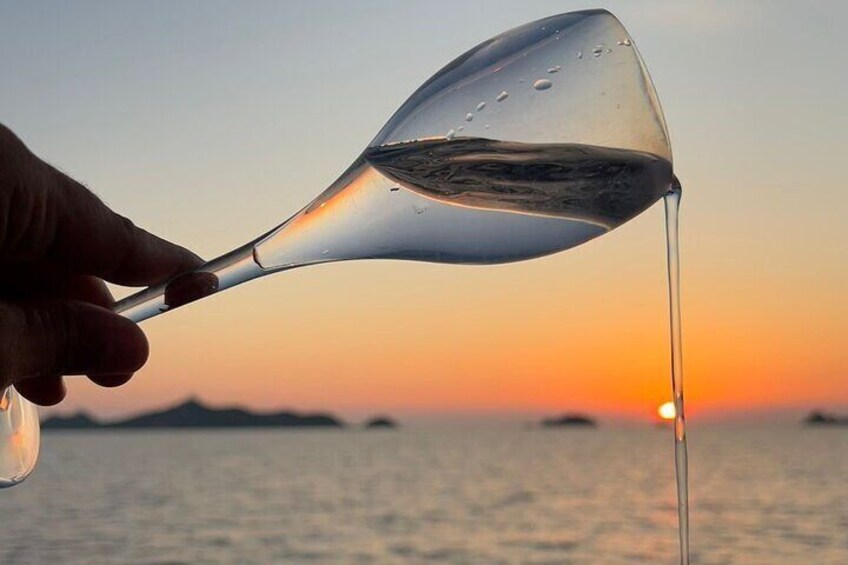A hand holding a wine glass pouring wine into the ocean at sunset. 3