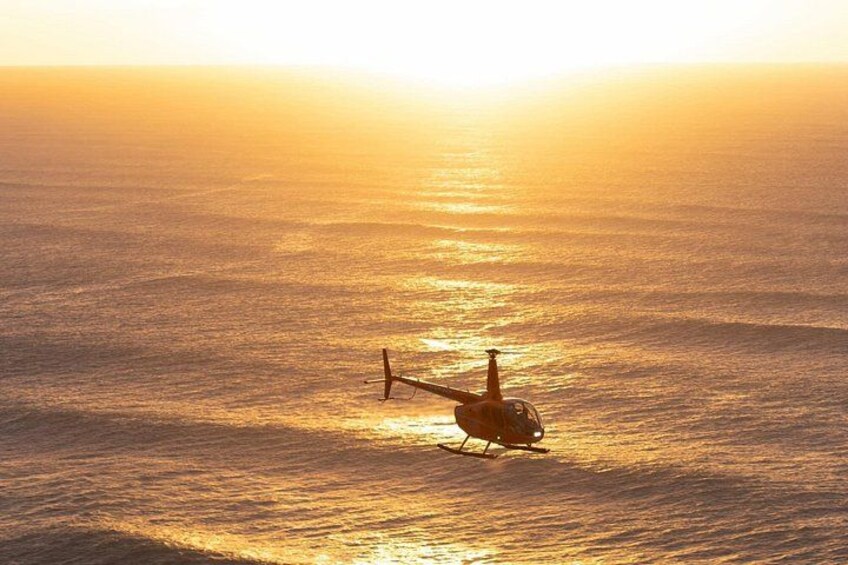 Soar above Tampa’s sparkling skyline on a romantic sunset flight 5
