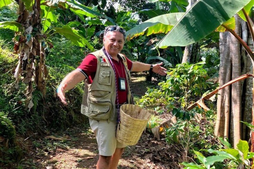 A person in a red shirt and beige vest holding a basket, standing in a lush green environment with banana plants. 1