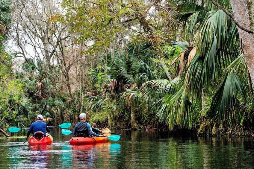 Small-group guided kayak tour with relaxed pace and wildlife viewing stops. 3
