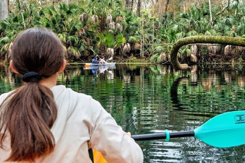 A person paddling a kayak on a calm river surrounded by dense tropical vegetation. 2