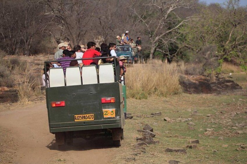 Canter Safari Ranthambore 5