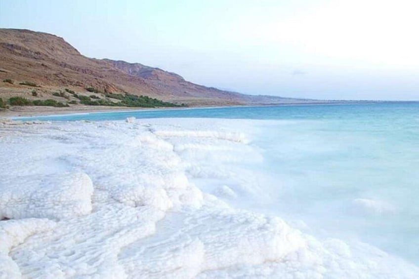 Dead Sea Day Trip from Amman Relax and Float Experience 5