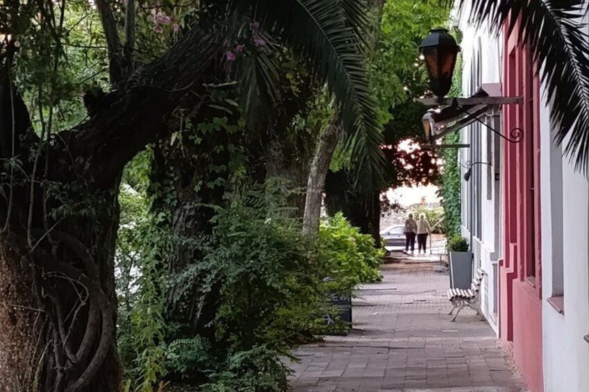 A narrow tree-lined pathway, a red building, and a street lamp. 2