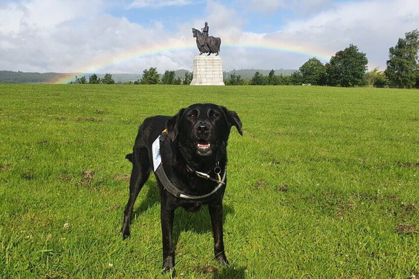 Co-founder Molly Hughes (24.06.11 - 15.02.24) 2