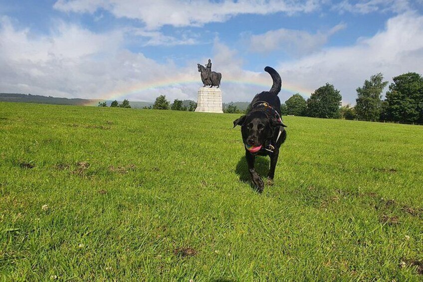 Molly at her favourite place in the World. Molly went over the Rainbow Bridge in February 2024. 2