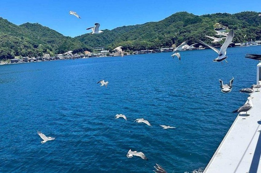 One-Day Kyoto Coastal Adventure: Ine Boathouses and Amanohashidate. 3