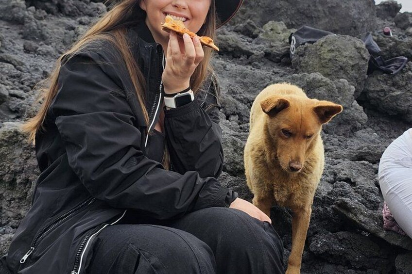 A person sitting on a rocky surface with a dog beside them. 2
