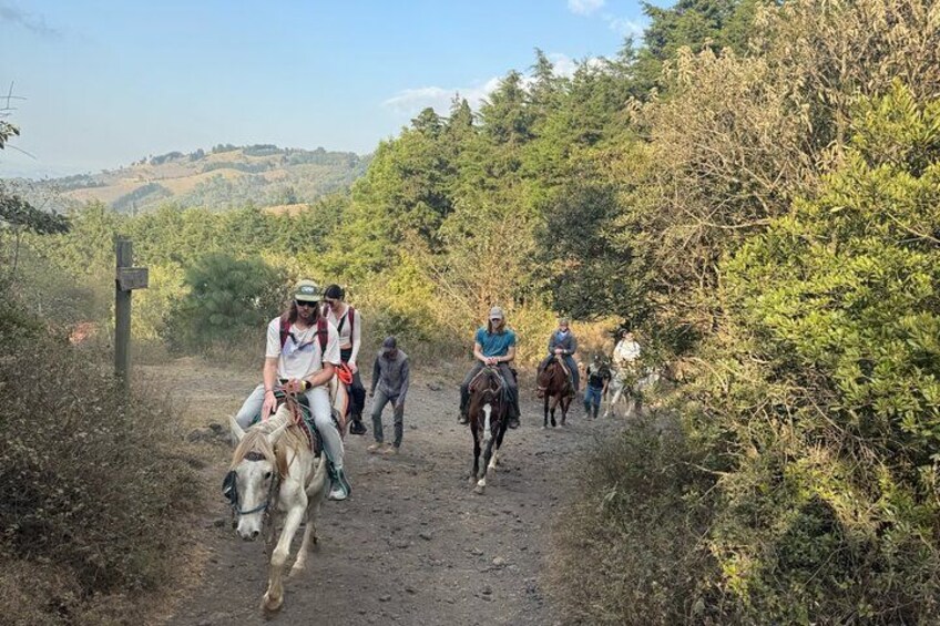 Un groupe de personnes à cheval, sur un chemin de terre bordé de verdure. 4
