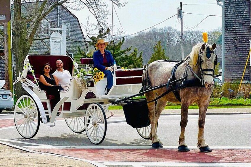 Wickford Horse Drawn Carriage Ride 3