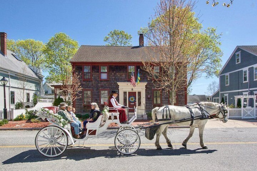 Wickford Horse Drawn Carriage Ride 2
