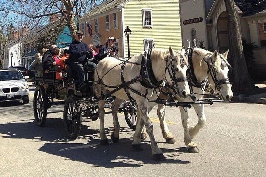 Wickford Horse Drawn Carriage Ride 2