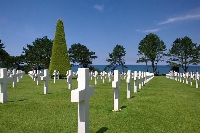 A cemetery with white crosses, a tall conical tree, and a body of water in the background. 4