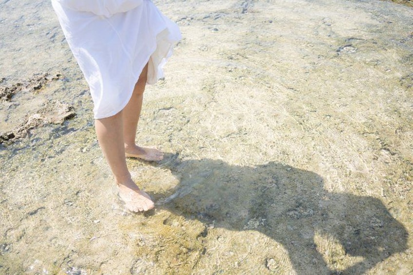 Eine Person steht an einem sandigen Strand mit klarem Wasser. 3