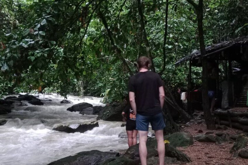 Sumatra : 2-Day Orangutan Trekking and River Tubing Tour 5