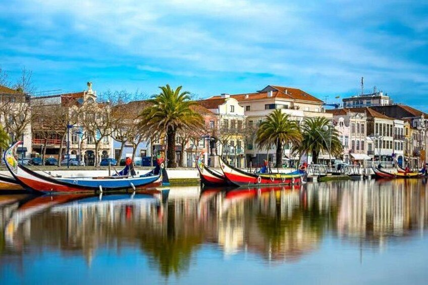 From Lisbon: Coimbra, Aveiro and Costa Nova in Private Tour 5