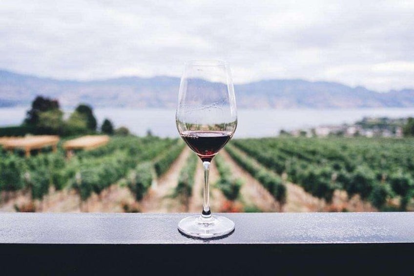 A wine glass on a balcony overlooking a vineyard with rows of grapevines and distant mountains. 5