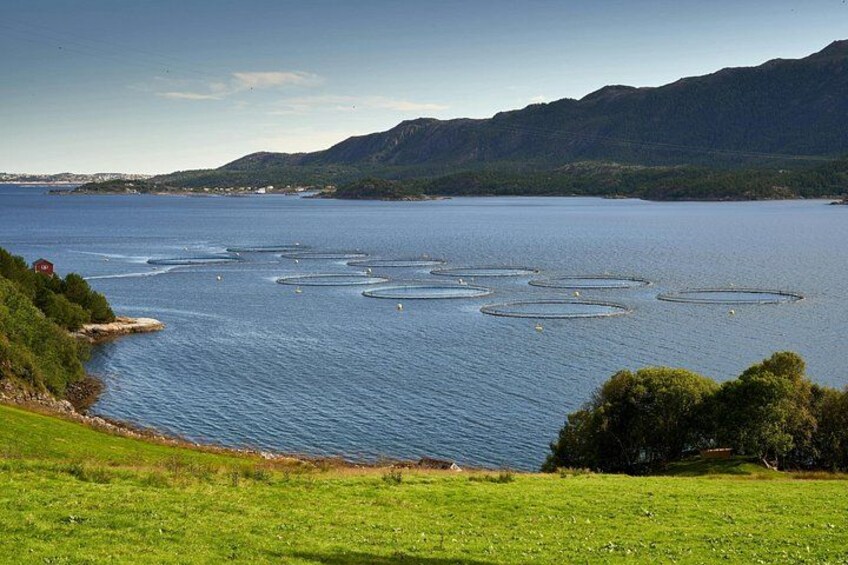 A lake with circular structures, a grassy shoreline, and distant mountains. 3