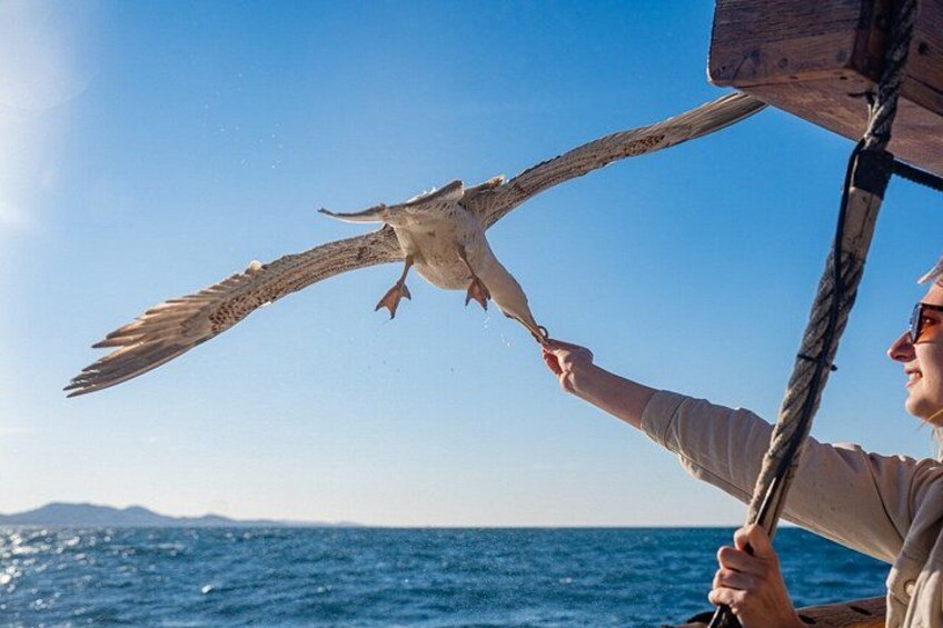 Zadar: Traditional Boat Tour with Unlimited Wine and 3 Stops 3