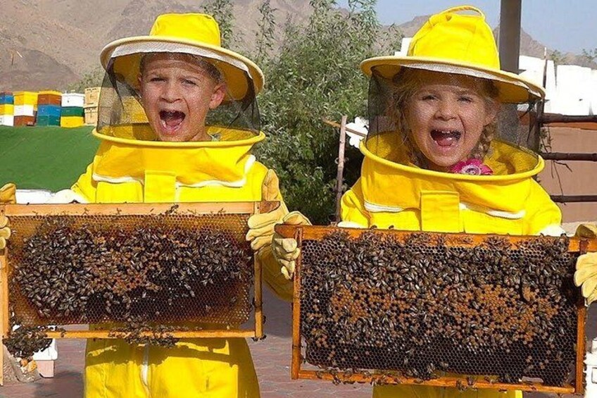 Two individuals in yellow protective suits holding beehive frames. 2