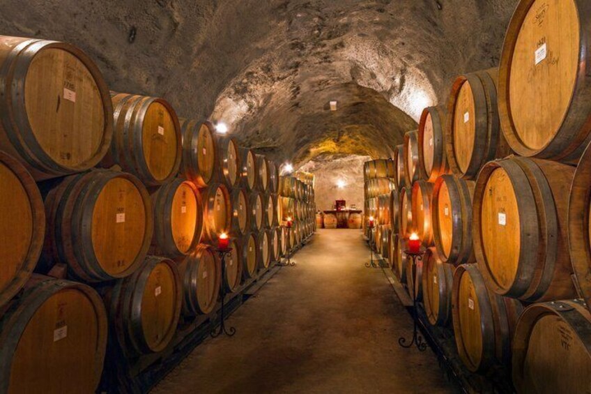 Zip and Sip Tour - Ziplining, Visit 3 Wineries & Cheeseboard 4