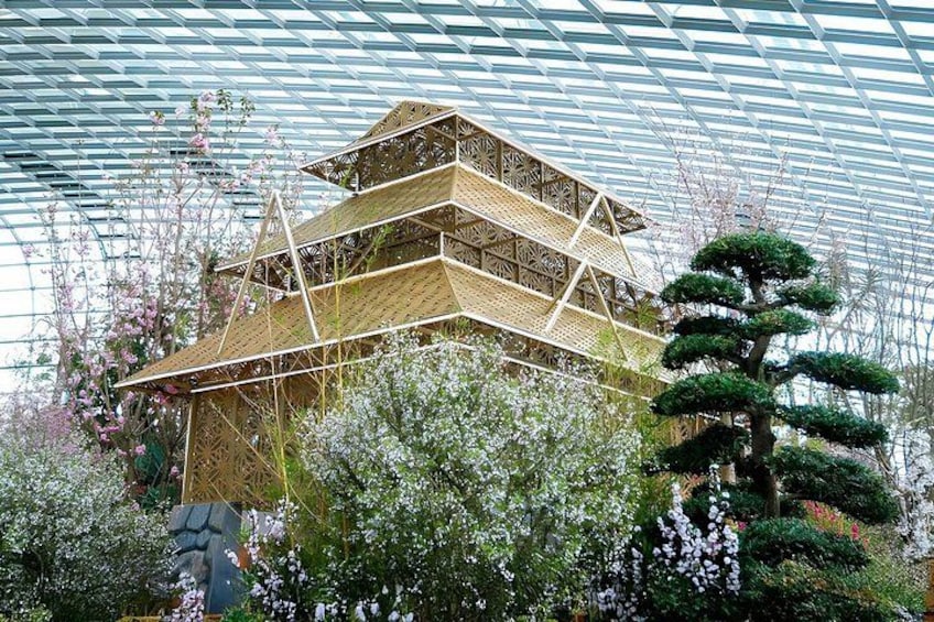 Gardens by the Bay: Cloud Forest + Flower Dome + Floral Fantasy 5