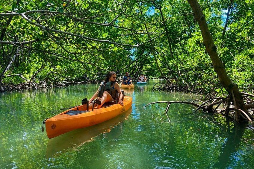Marco Island and Naples Pedal or Paddle Kayak Tour 1