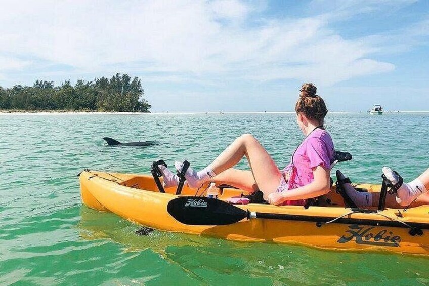 Marco Island and Naples Pedal or Paddle Kayak Tour 5