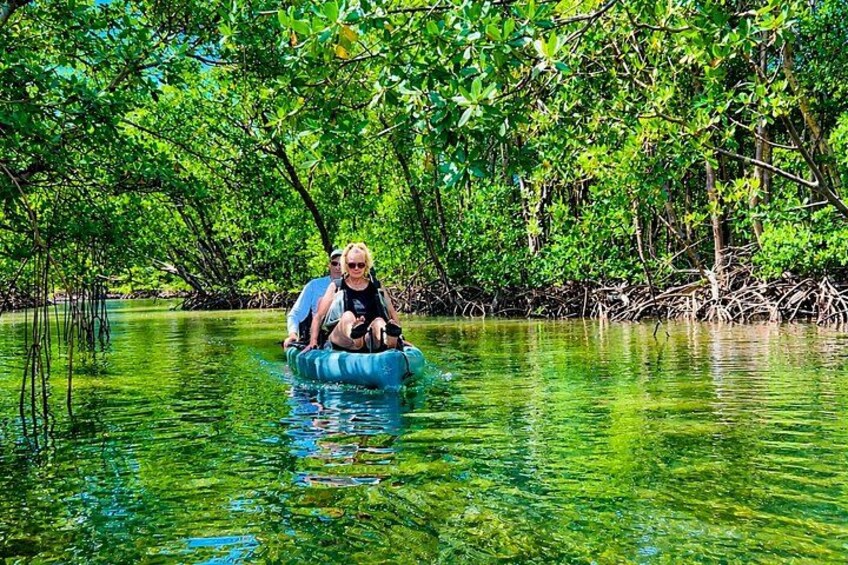 Marco Island and Naples Pedal or Paddle Kayak Tour 2