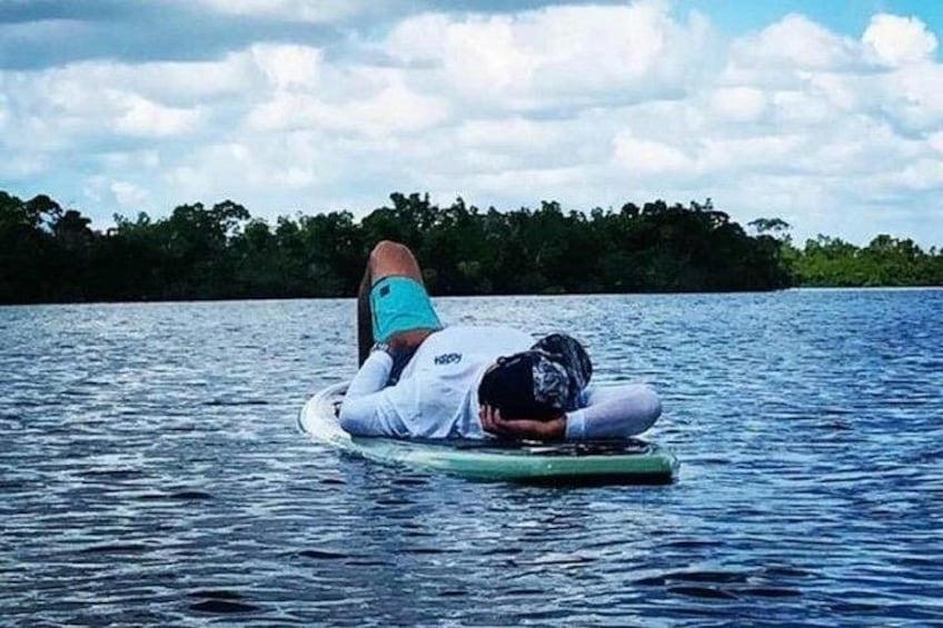 Marco Island and Naples Pedal or Paddle Kayak Tour 2