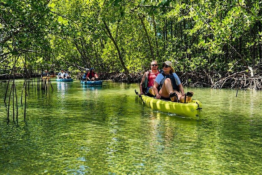 Marco Island and Naples Pedal or Paddle Kayak Tour 2
