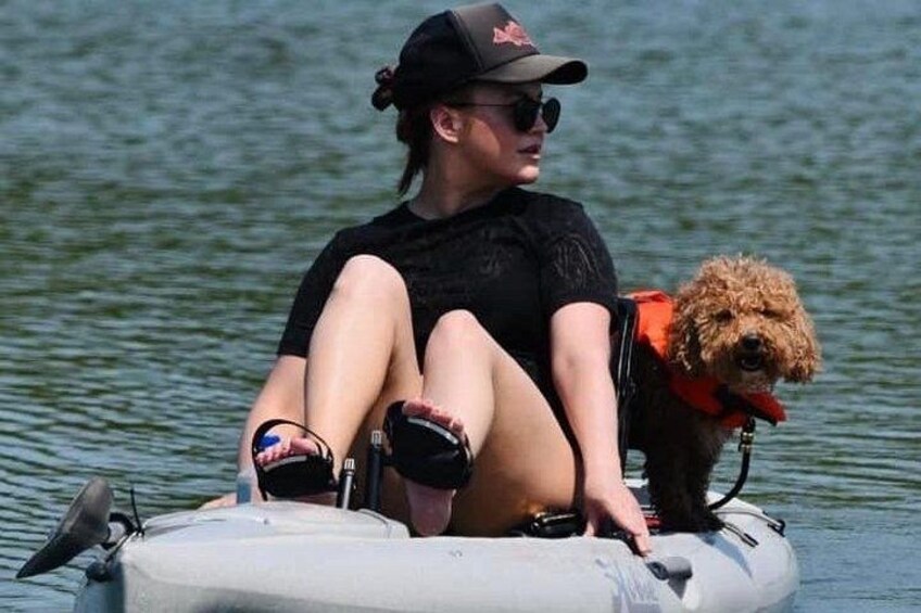 Marco Island and Naples Pedal or Paddle Kayak Tour 4