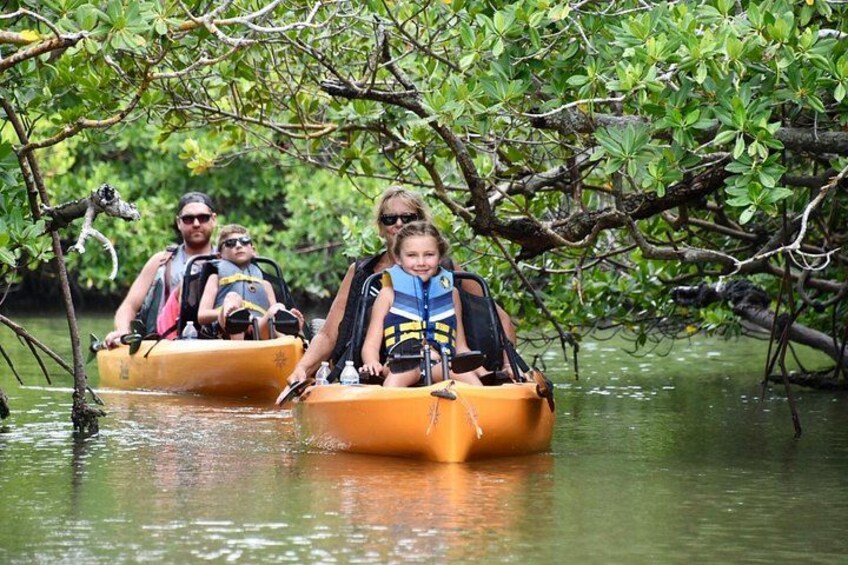 Marco Island and Naples Pedal or Paddle Kayak Tour 5