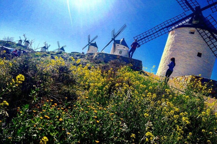 Vindmøller, klar himmel og gule blomster. 4
