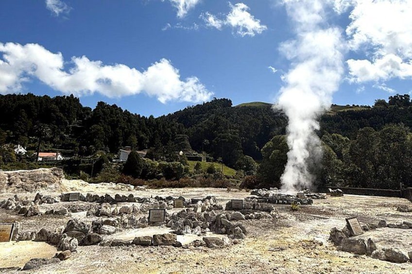 A geothermal area with steam rising, rocky terrain, and a forested hill in the background. 5