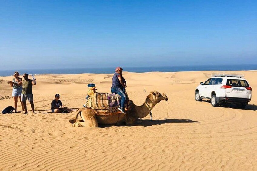 A camel with riders in a desert landscape, a white SUV, and people observing. 2