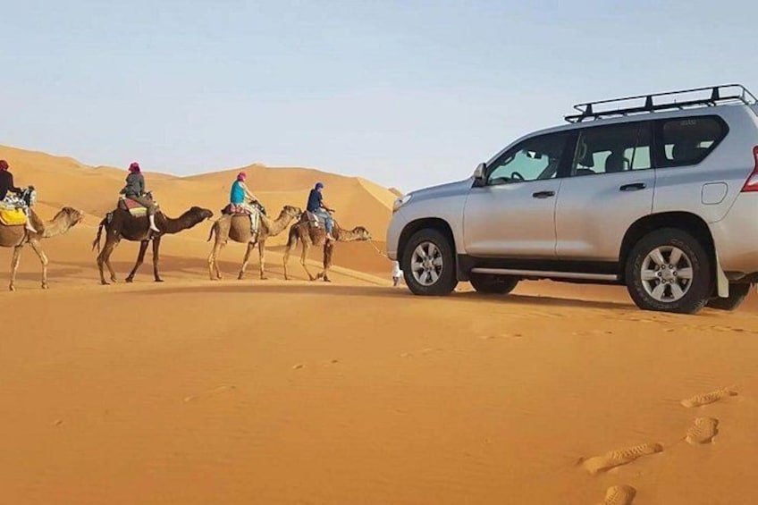 A desert landscape with a group of camels and a vehicle. 1