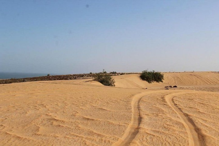 A desert landscape with sand dunes and a winding path. 4