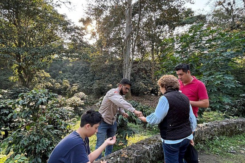A group of people in a forested area, some standing and others sitting, with trees and greenery in the background. 3