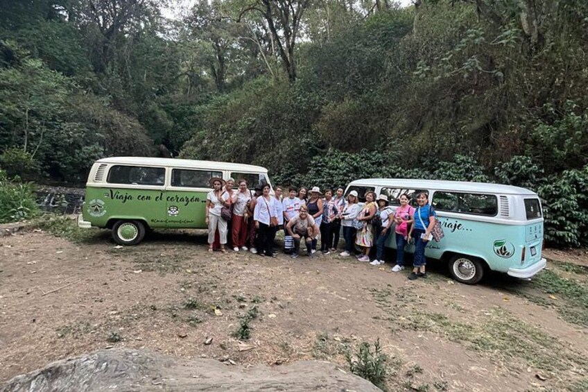 A group of people standing between two vintage vans in a forested area. 5