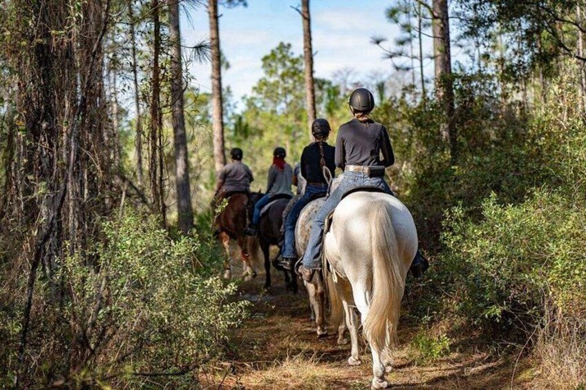 A group of people horseback riding through a forested trail. 2