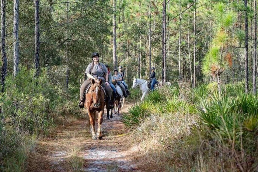 A trail with horseback riders. 1