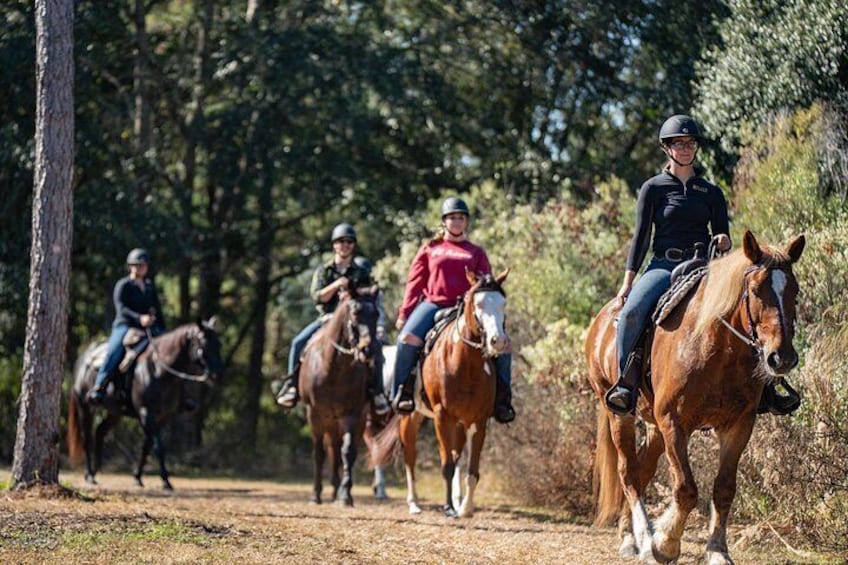 Four people riding horses on a dirt path in a wooded area. 2