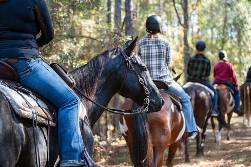 People riding horses on a trail surrounded by trees. 3