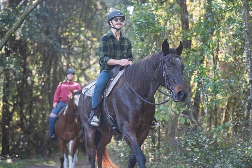 Two people riding horses on a forest trail. 4