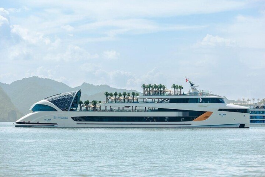 Ha Long Bay Dolphin Cruise: Premier Modern Luxury Day Experience 2