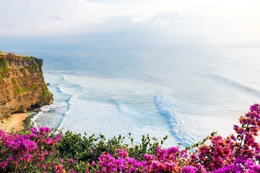 A coastal cliff with a beach, ocean waves, and pink flowers in the foreground. 4