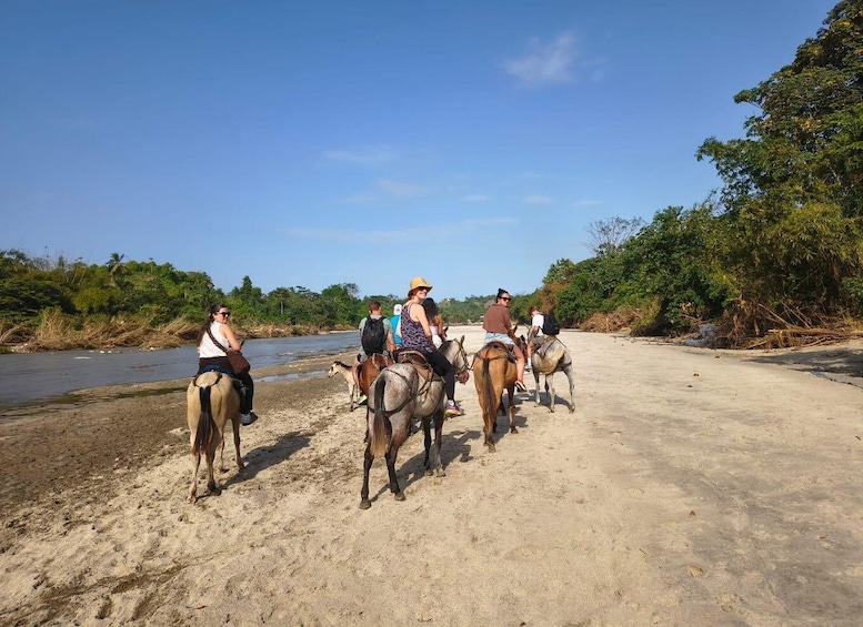 Picture 10 for Activity Santa Marta: Horseback riding on Los Naranjos beach Tayrona 2